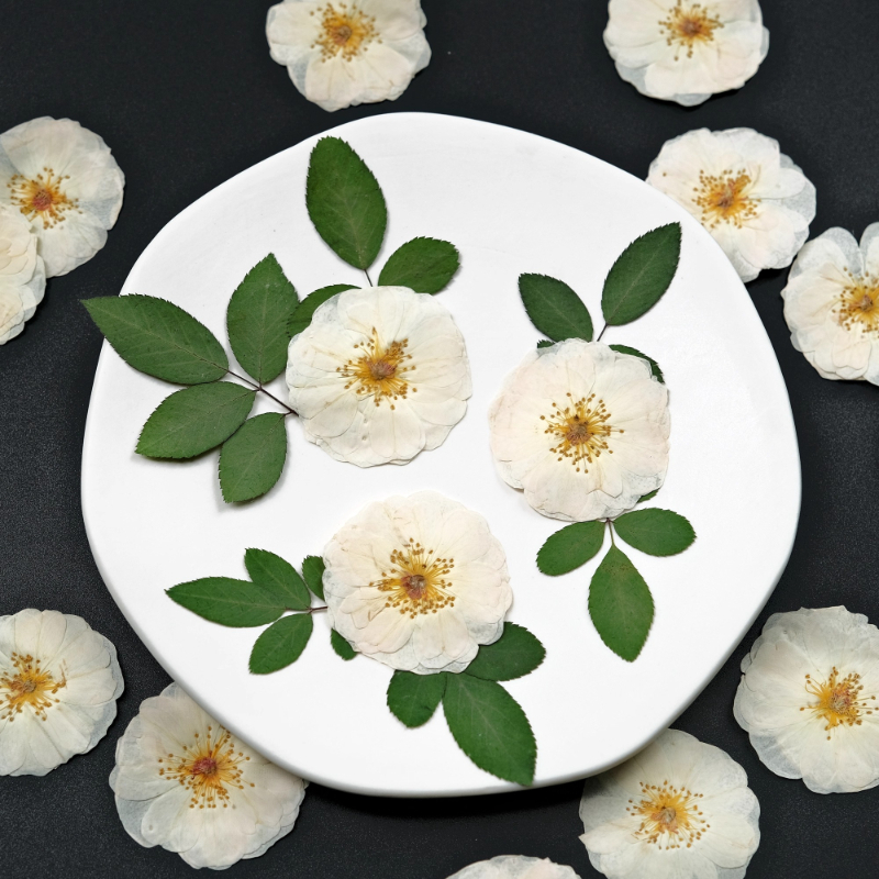 6pcs,9pcs,Nature White Rose Pr - Wax Seal Stamp Kit avaliação e preço