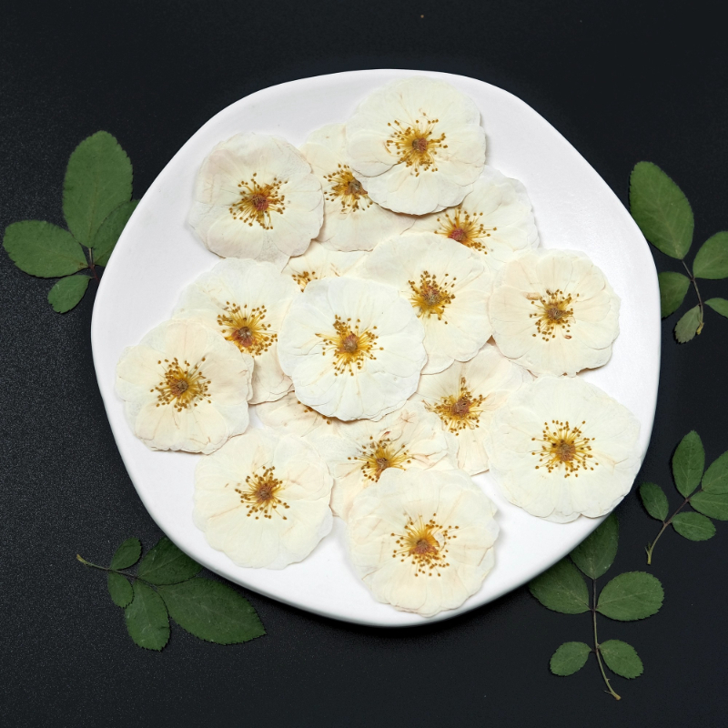 6pcs,9pcs,Nature White Rose Pr - Wax Seal Stamp Kit avaliação e preço