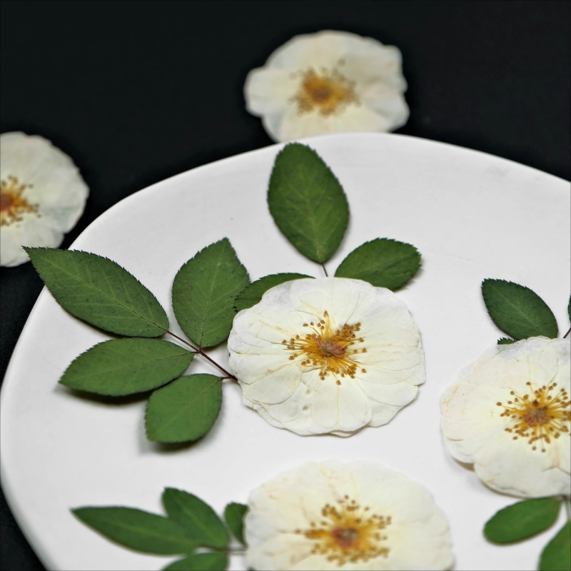 6pcs,9pcs,Nature White Rose Pr - Wax Seal Stamp Kit avaliação e preço